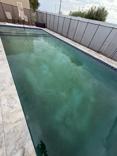 Before the acid wash: cloudy green water